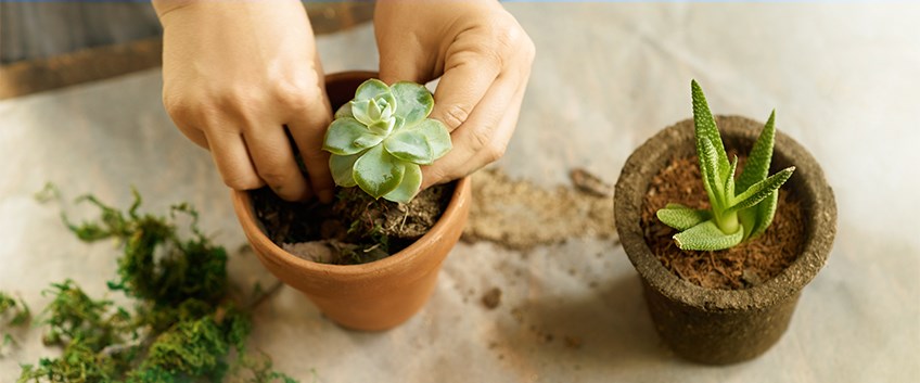 הבדלים בתנאי המימון של דירה מקבלן מול דירה מיד שנייה