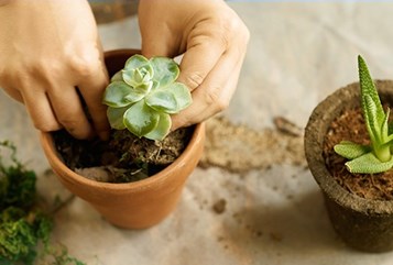 הבדלים בתנאי המימון של דירה מקבלן מול דירה מיד שנייה