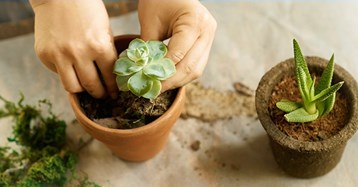 הבדלים בתנאי המימון של דירה מקבלן מול דירה מיד שנייה