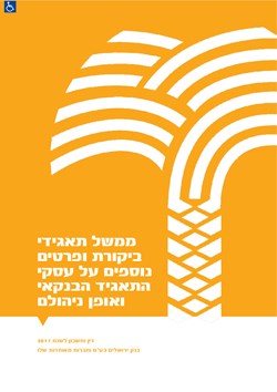  - ממשל תאגידי, ביקורת ופרטים נוספים 2017